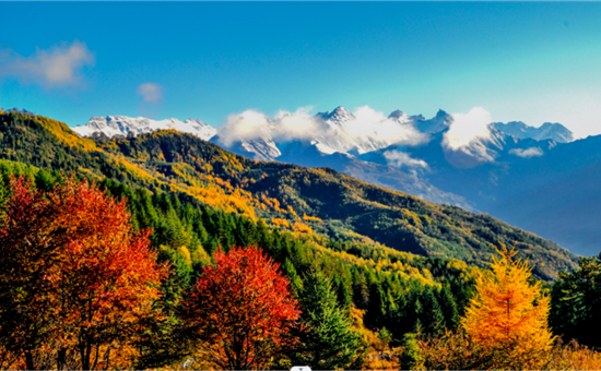 日照金山 紅葉漫天丨神木壘、達瓦更紮“紅出圈”的打卡地，你都(dōu)打卡了嗎？